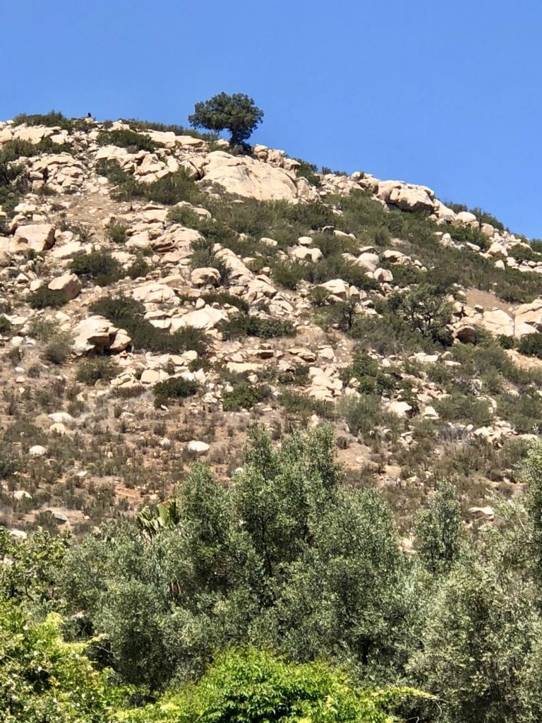 Rancho La Puerta 