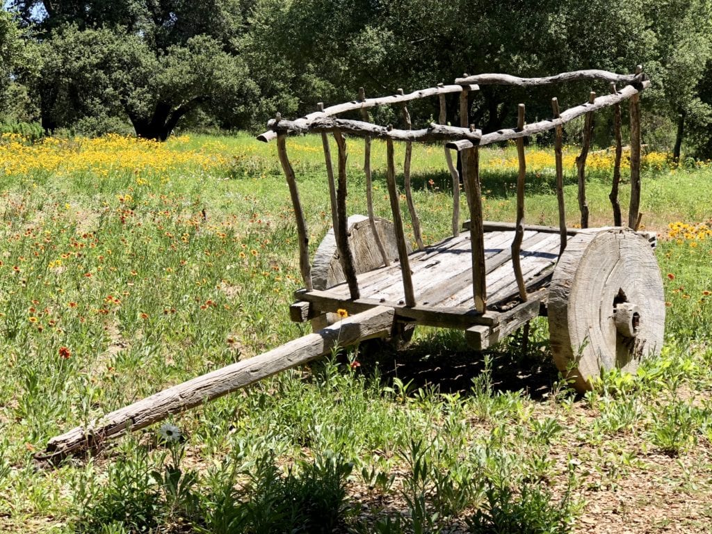 Practicing photography at the Ranch 