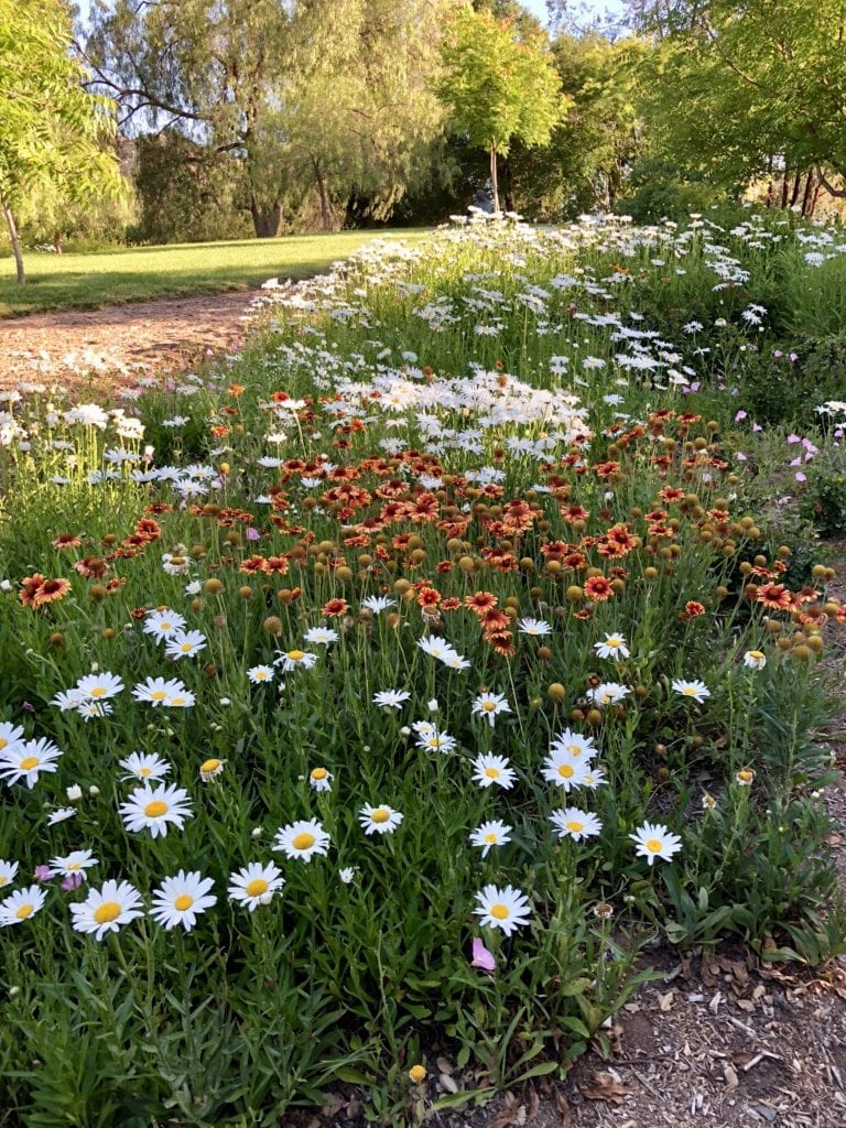 Rancho La Puerta 