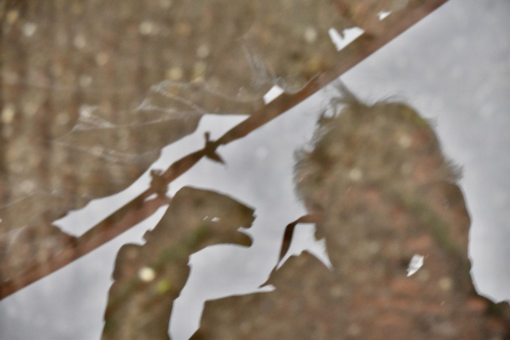 Self Portrait in a Mud Puddle 