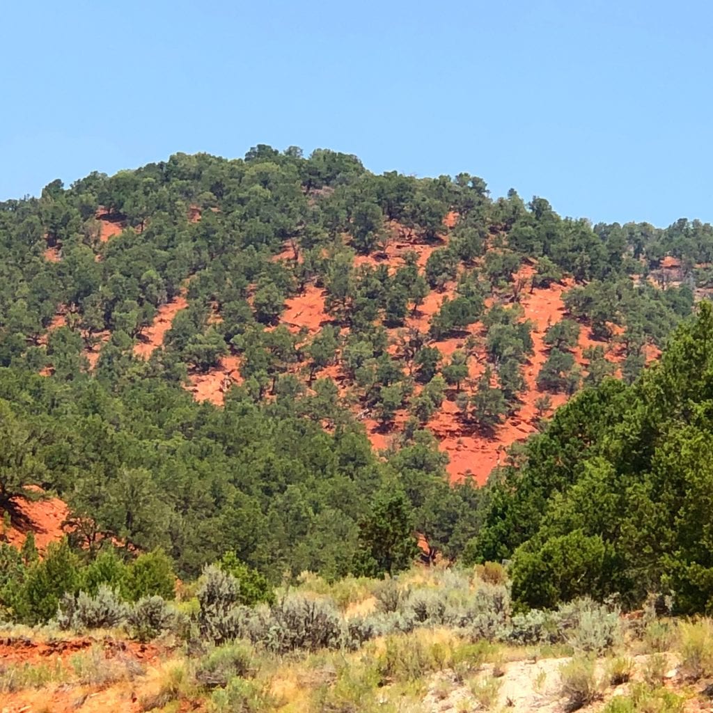 Roaring Fork Club 