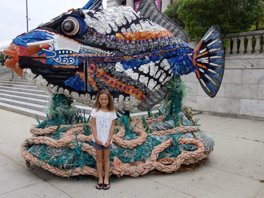 Shedd Aquarium 