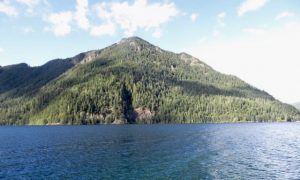 Guest Blogger Visits Olympic National Park
