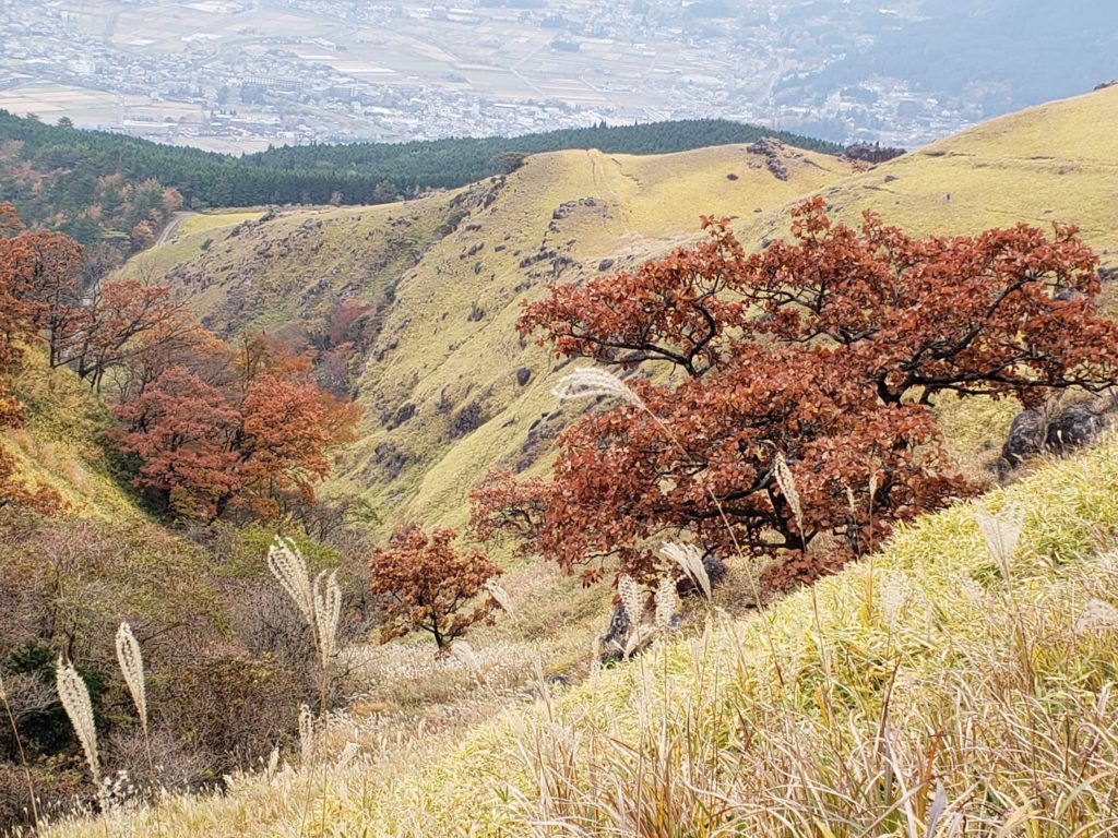 The Autumn colors on the way down were lovely.