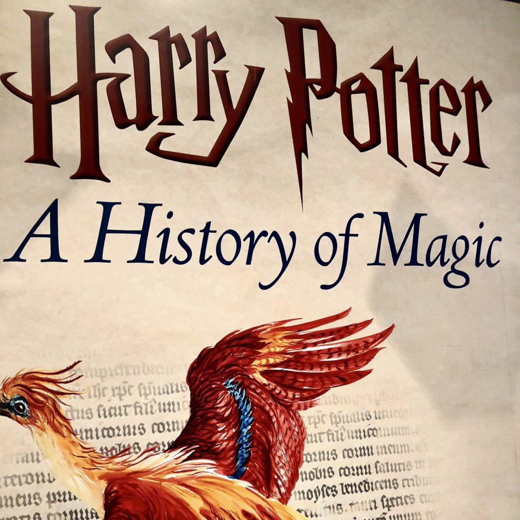 Harry Potter New York City