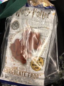 Treats for on the plane: Harry Potter New York City 