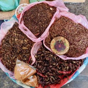 Fried grasshoppers