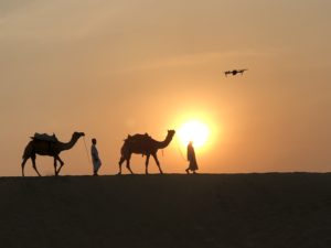 Camels and drone