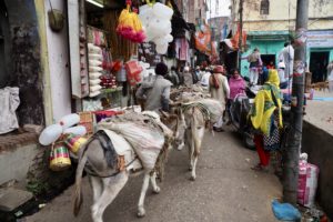 Haridwar, India
