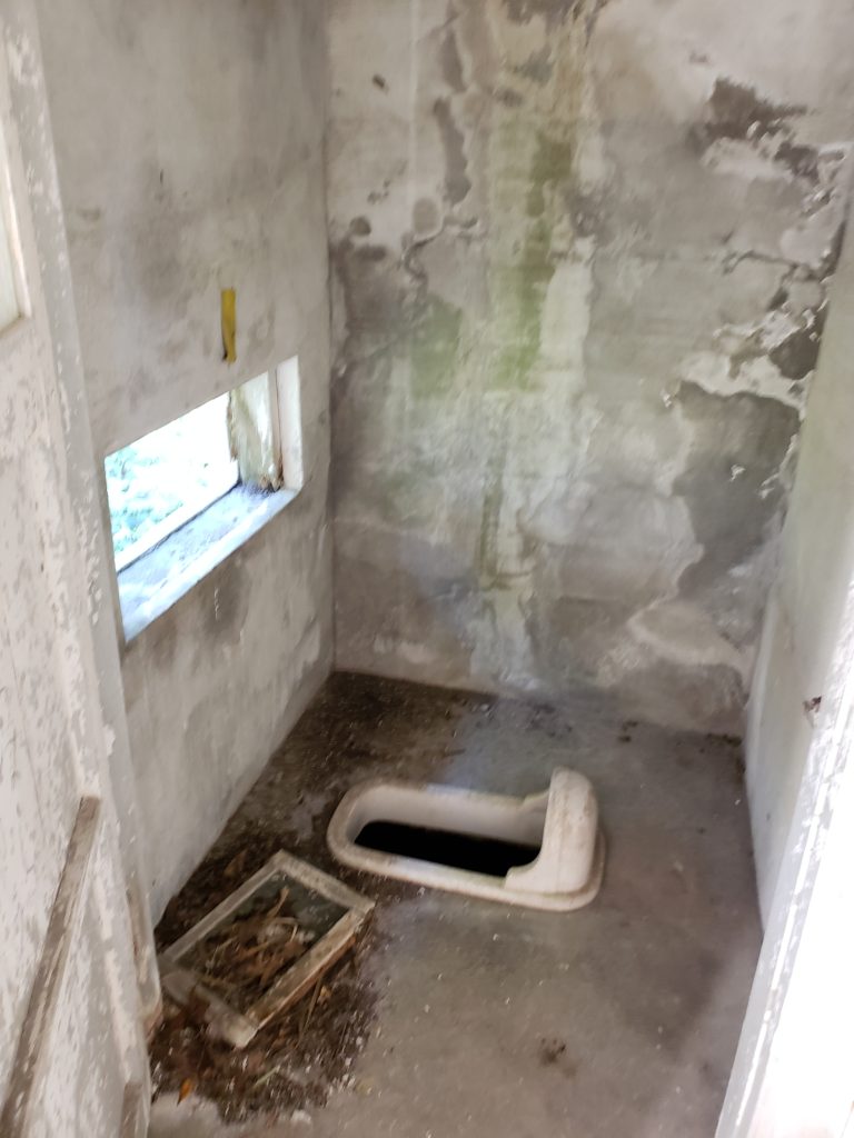 Toilets of Japan 