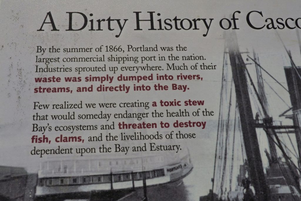 Once Polluted Harbor in Portland 