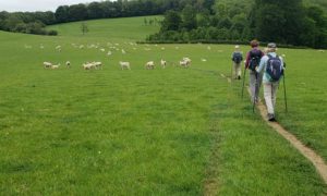 The Cotswold Way (Part 3)