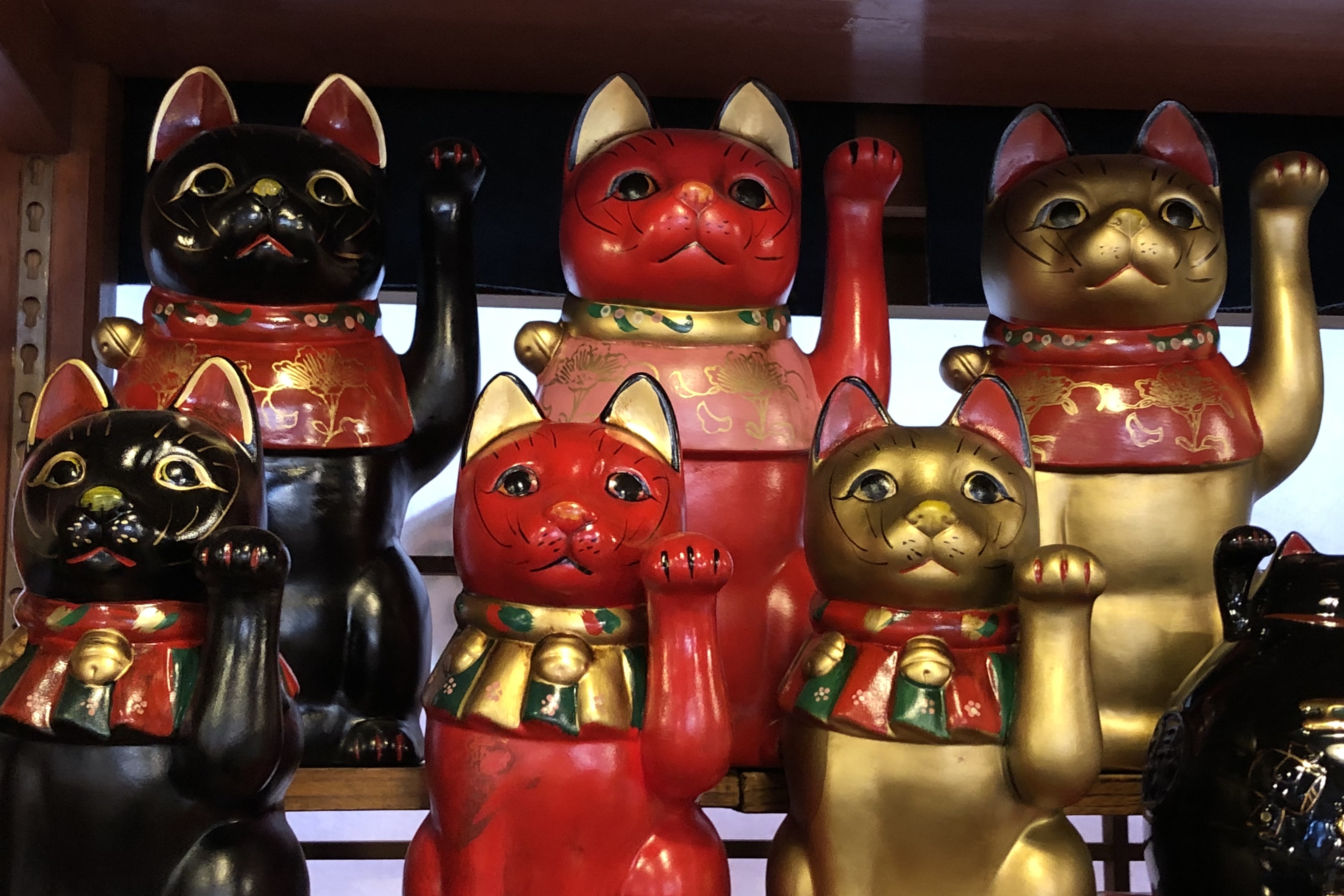 If you like cats, head to Japan DesignDestinations