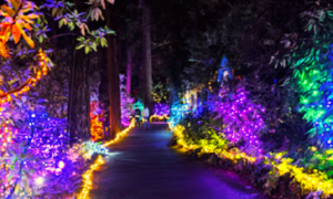 The Grotto: Christmas Festival of Light, Portland, Oregon