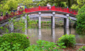 Japanese Bridges