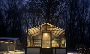 Getting Through Winter in Michigan