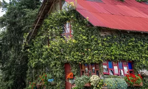 CannĆŗa Lodge in Columbia provides restful retreat