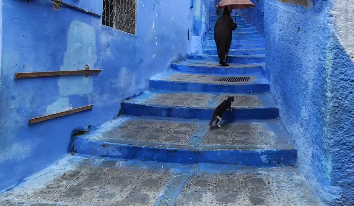Loving Chefchaouen in Morrocco