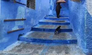 Loving Chefchaouen in Morrocco