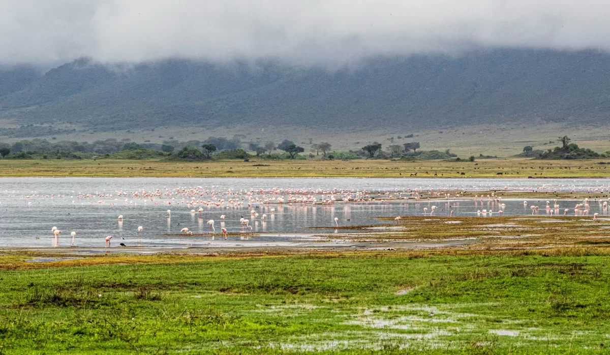 Ngorongoro Crater Tanzania Showplace.