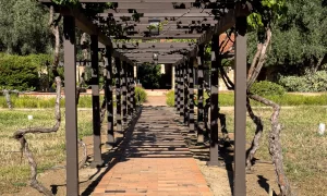 Rancho La Puerta focuses on Wellness and Healthy Living