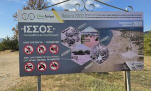 Guest Blogger shares Corfu experience